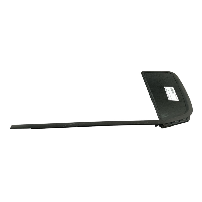 Custode arriere gauche (porte) RENAULT CLIO 3 Photo n°1