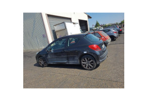 Custode arriere gauche PEUGEOT 207 Photo n°8