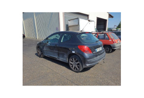 Custode arriere gauche PEUGEOT 207 Photo n°10