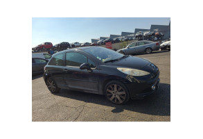 Custode arriere gauche PEUGEOT 207 Photo n°11