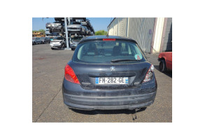 Custode arriere gauche PEUGEOT 207 Photo n°12