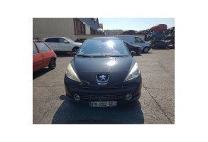 Custode arriere gauche PEUGEOT 207 Photo n°14
