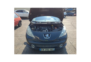 Custode arriere gauche PEUGEOT 207 Photo n°18