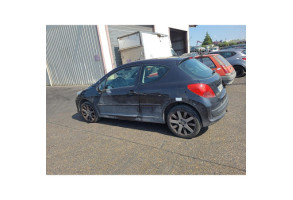 Custode arriere gauche PEUGEOT 207 Photo n°19