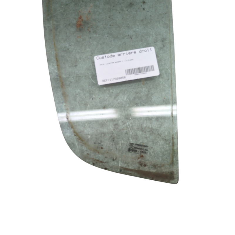 Custode arriere droit (porte) DACIA SANDERO 1 Photo n°1