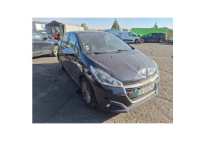 Porte arriere gauche PEUGEOT 208 1 Photo n°12