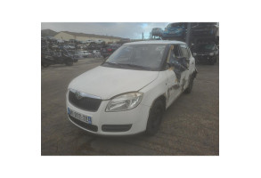 Vitre arriere droit SKODA FABIA 2 Photo n°6