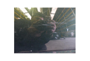 Porte avant droit LAND ROVER FREELANDER 1 Photo n°5