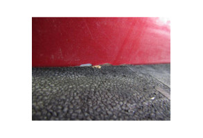 Malle/Hayon arriere LANCIA YPSILON 4 Photo n°7