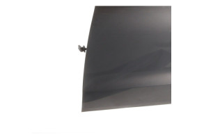 Porte avant gauche VOLKSWAGEN POLO 5 Photo n°5