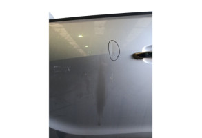 Porte avant gauche OPEL MERIVA B Photo n°2