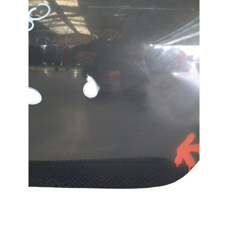 Porte arriere gauche DACIA DUSTER 1 Photo n°1