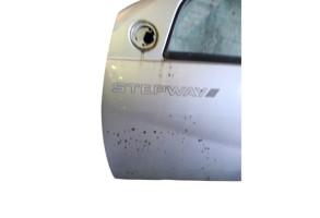 Porte avant gauche DACIA SANDERO 1 Photo n°3