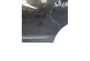 Porte arriere gauche NISSAN QASHQAI 1 Photo n°4