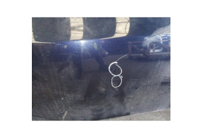 Porte avant gauche BMW SERIE 5 E60 Photo n°8