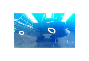 Porte avant gauche FIAT GRANDE PUNTO Photo n°2