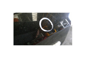 Porte avant gauche RENAULT FLUENCE Photo n°3