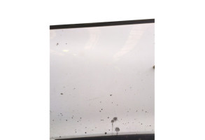 Porte avant gauche RENAULT CLIO 4 Photo n°6