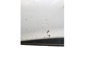 Porte avant gauche RENAULT CLIO 4 Photo n°8