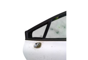 Porte avant gauche RENAULT CLIO 4 Photo n°11