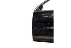 Porte avant gauche VOLKSWAGEN TIGUAN 1 Photo n°3