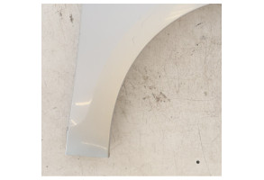 Aile avant droit RENAULT SCENIC 3 Photo n°4