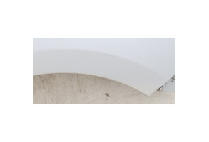 Aile avant droit RENAULT SCENIC 3 Photo n°5