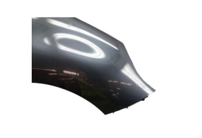 Aile avant droit RENAULT SCENIC 3 Photo n°4