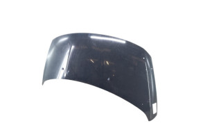Capot PEUGEOT 3008 1 Photo n°4
