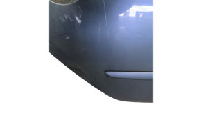 Porte arriere droit RENAULT GRAND MODUS Photo n°8