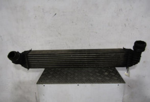 Echangeur air (Intercooler) RENAULT LAGUNA 3