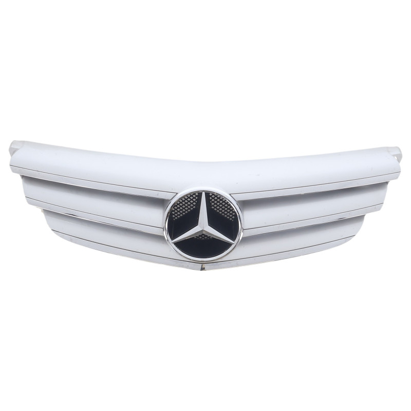 Calandre MERCEDES CLASSE B 245 Photo n°1