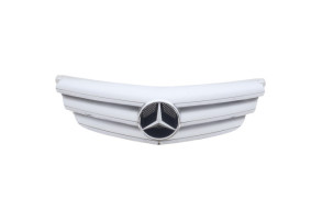 Calandre MERCEDES CLASSE B 245 Photo n°1