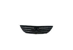 Calandre MERCEDES CLASSE B 245 Photo n°1