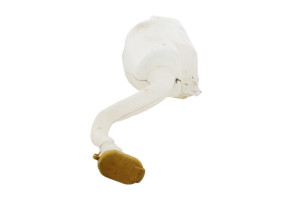 Vase de lave glace RENAULT TWINGO 2 Photo n°4