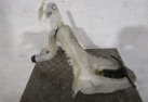 Vase de lave glace FIAT BRAVO 2 Photo n°1