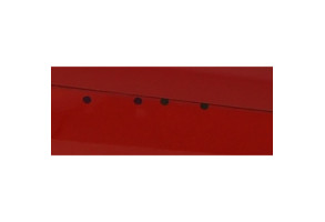 Porte avant droit RENAULT CLIO 3 Photo n°6