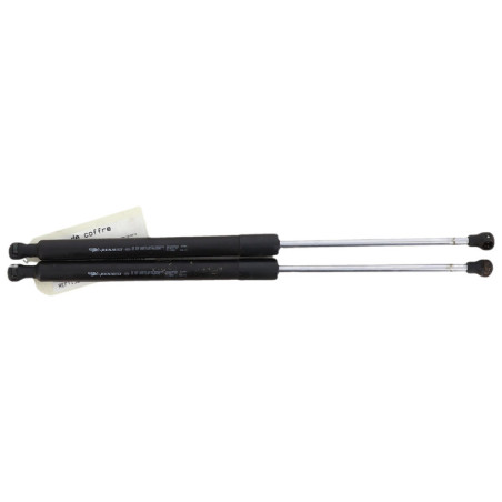 Verin de coffre RENAULT CLIO 3