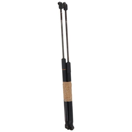 Verin de coffre CITROEN C4 PICASSO 1
