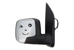 Retroviseur droit FIAT QUBO Photo n°6