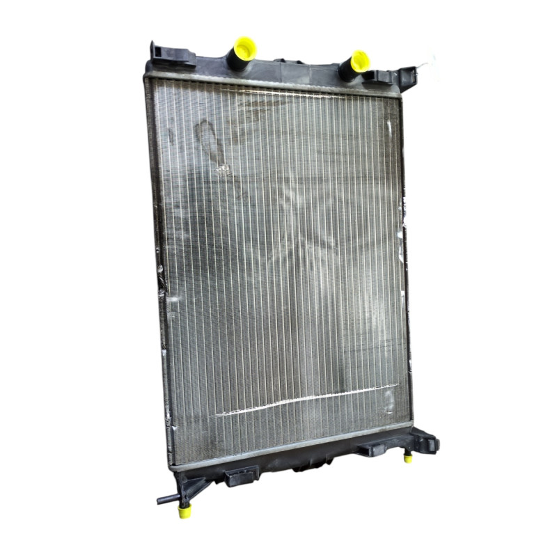 Radiateur eau RENAULT GRAND SCENIC 2 Photo n°1