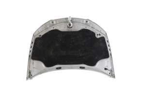 Capot SEAT IBIZA 4 Photo n°8