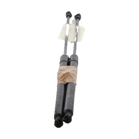 Verin de capot CITROEN C6