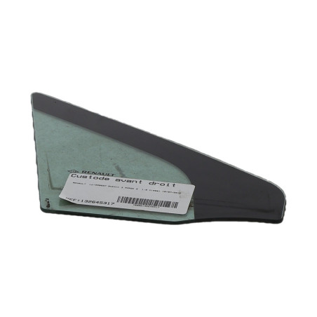 Custode avant droit (porte) RENAULT SCENIC 3