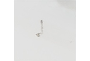Porte arriere droit PEUGEOT 2008 1 Photo n°8
