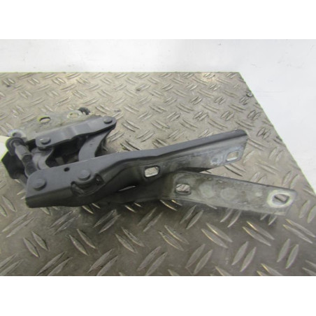 Charniere de capot VOLKSWAGEN PASSAT 6