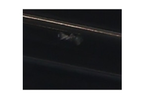 Porte arriere droit AUDI A4 2 Photo n°6