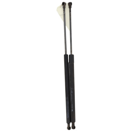 Verin de coffre RENAULT SCENIC 3