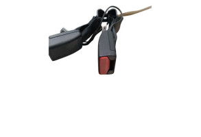 Attache ceinture arriere gauche RENAULT ARKANA Photo n°3