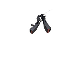 Attache ceinture arriere gauche RENAULT ARKANA Photo n°5